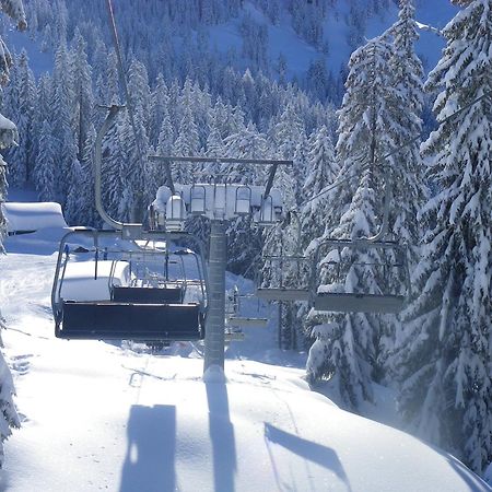 Haus Auni Metzgermeister Westendorf Buitenkant foto